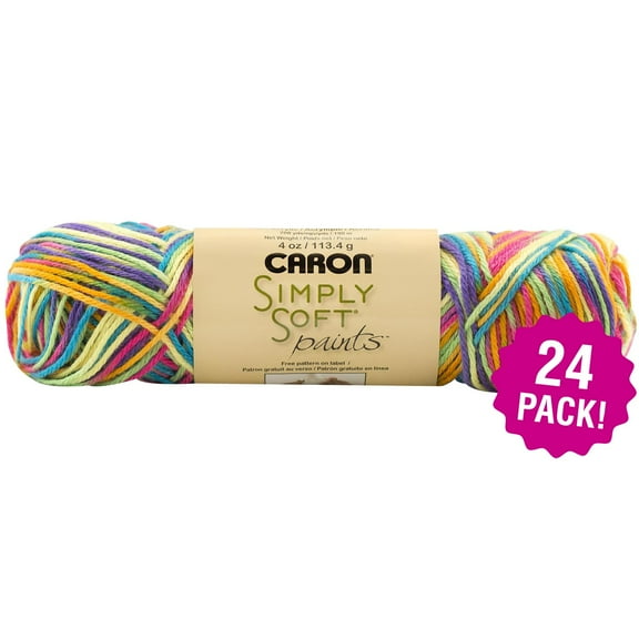 Caron Simply Soft Paints Yarn 24/Pk-Rainbow Bright