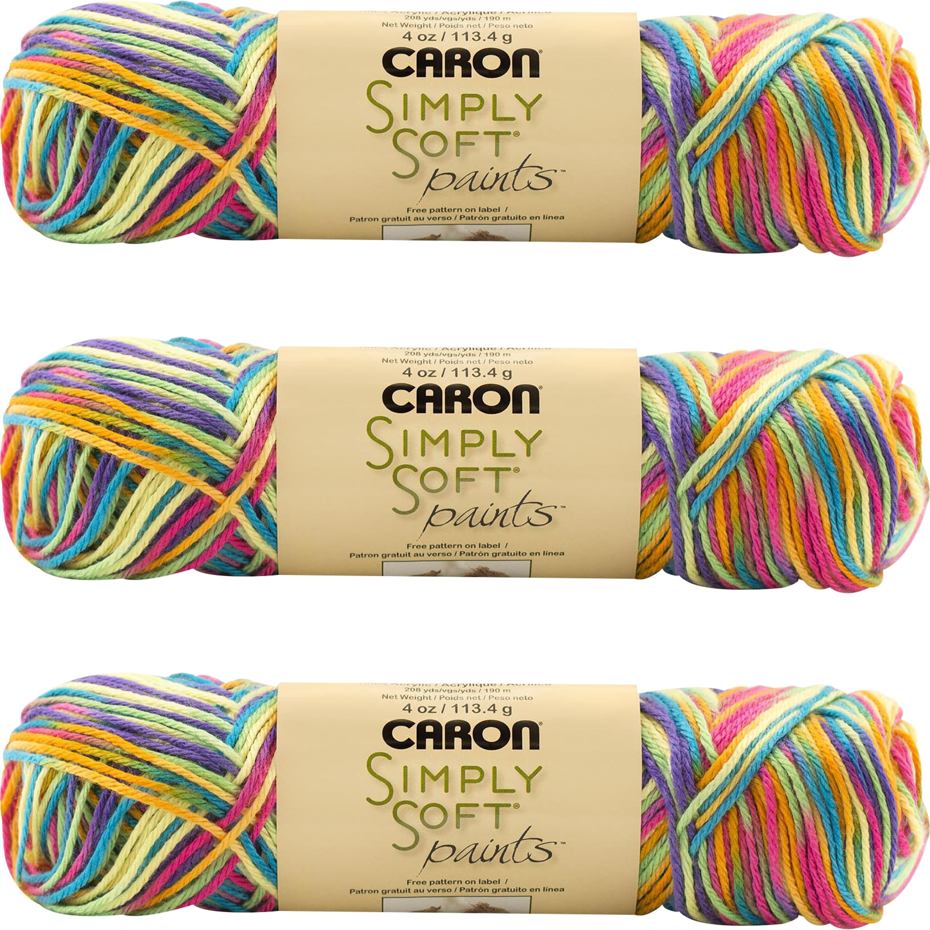 Caron Simply Soft Paints Yarn, Matching Lot of 8