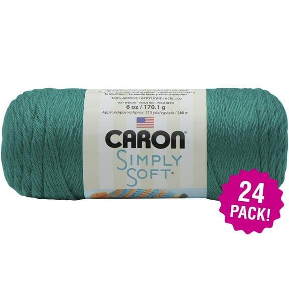 Caron Simply Soft Solids Yarn 24/Pk-Cool Green