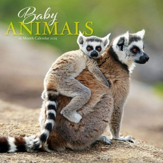 Carousel Calendars, Baby Animals 2025 Wall Calendar