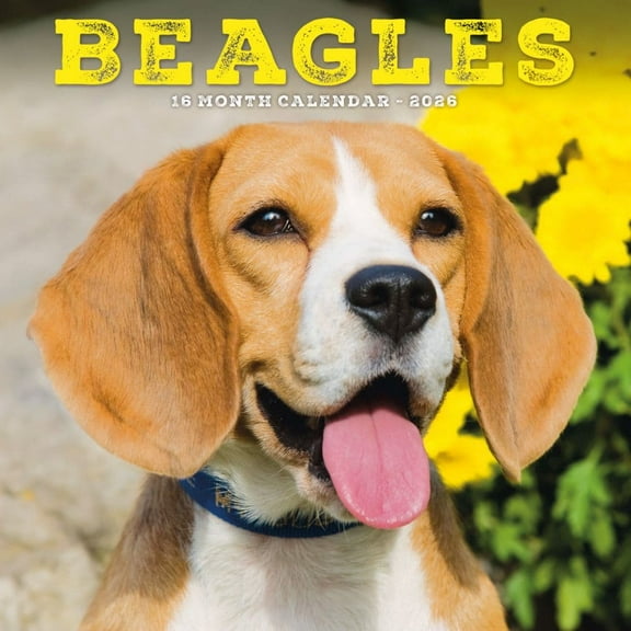 Carousel Calendars, Beagle 2026 Mini Wall Calendar