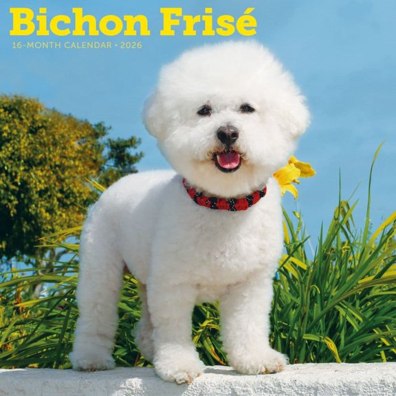 Carousel Calendars, Bichon Frise 2026 Wall Calendar