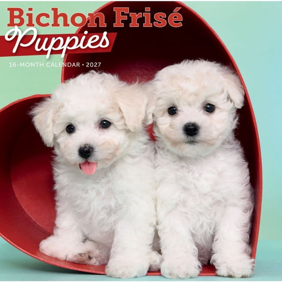 Carousel Calendars, Bichon Frise Puppies 2027 Wall Calendar