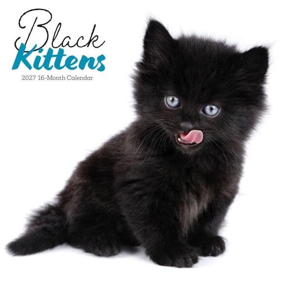 Carousel Calendars, Black Kitties 2027 Wall Calendar