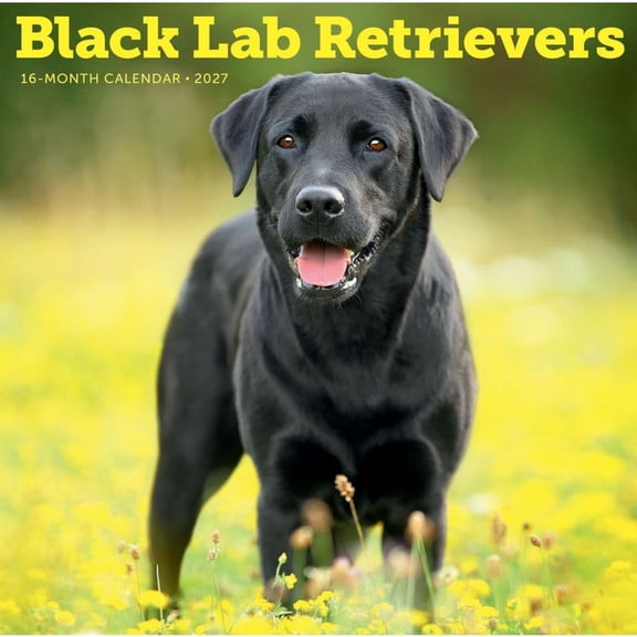 Carousel Calendars, Black Labrador Retrievers 2027 Wall Calendar