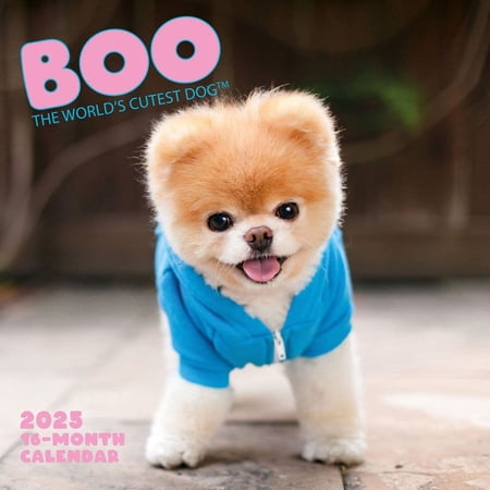 Carousel Calendars, Boo 2025 Wall Calendar