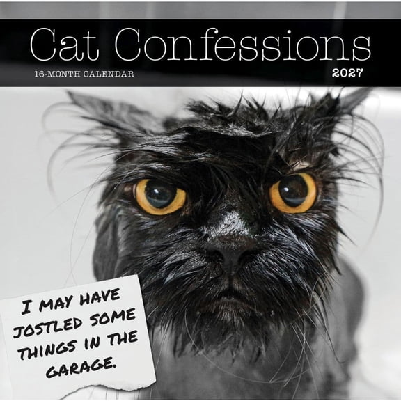 Carousel Calendars, Cat Confessions 2027 Wall Calendar