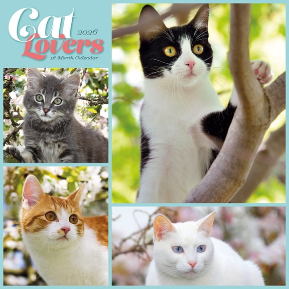 Cat Lovers: 12 X 12 Wall, (Paperback)