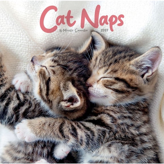 Carousel Calendars, Cat Naps 2027 Wall Calendar