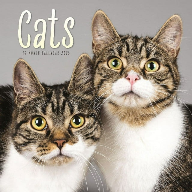 Carousel Calendars, Cats 2025 Wall Calendar