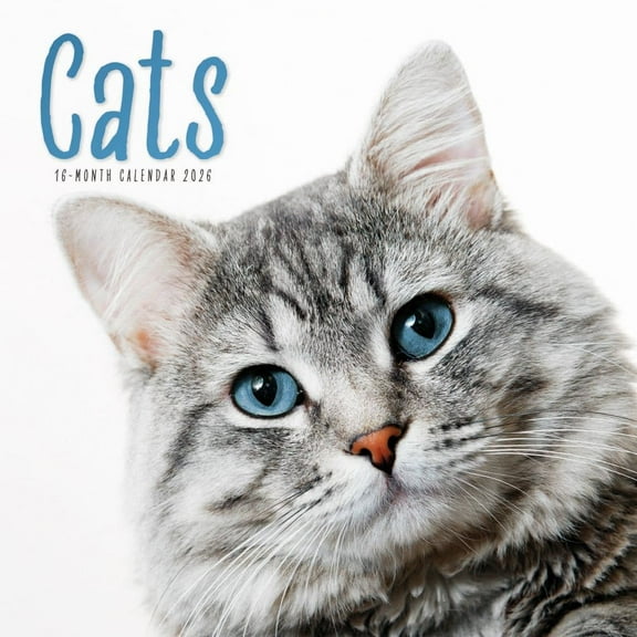 Carousel Calendars, Cats 2026 Wall Calendar