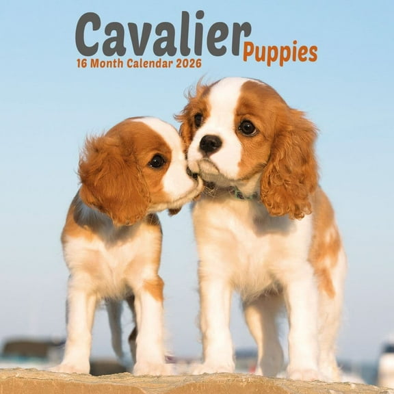 Carousel Calendars, Cavalier King Charles Puppies 2026 Mini Wall Calendar