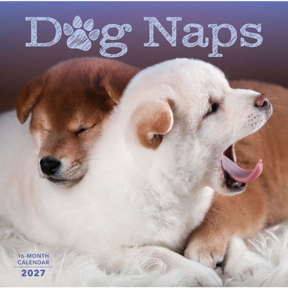 Carousel Calendars, Dog Naps 2027 Wall Calendar