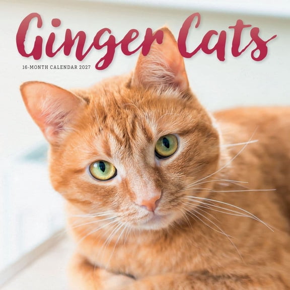 Carousel Calendars, Ginger Cats 2027 Wall Calendar