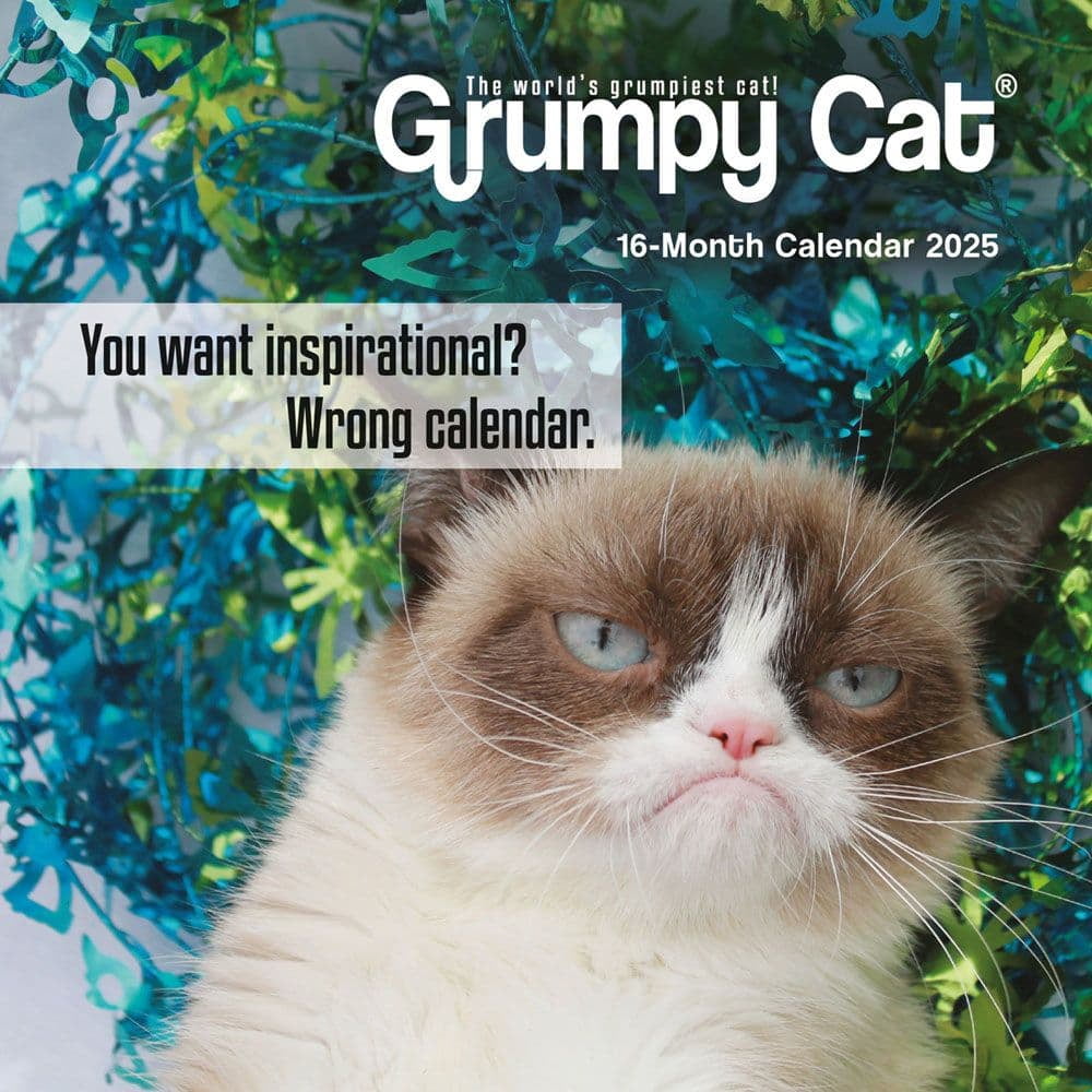 Carousel Calendars, Grumpy Cat 2025 Mini Wall Calendar