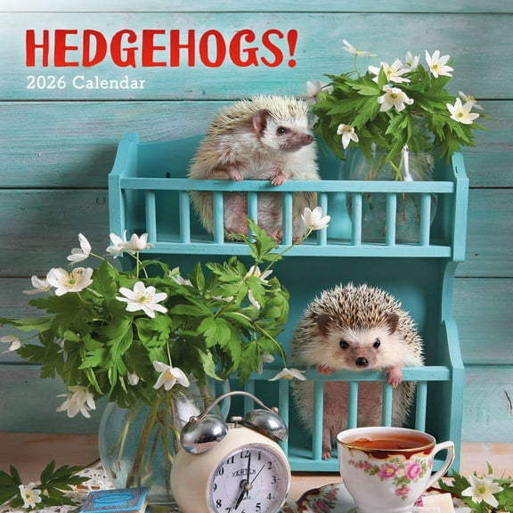 Carousel Calendars, Hedgehogs 2026 Wall Calendar