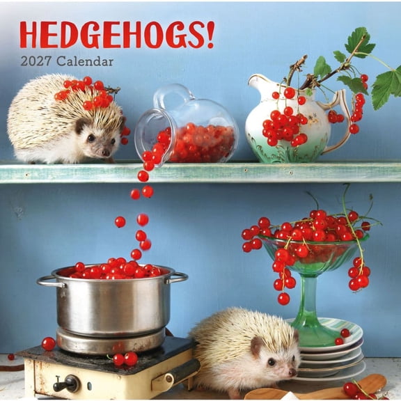Carousel Calendars, Hedgehogs 2027 Wall Calendar