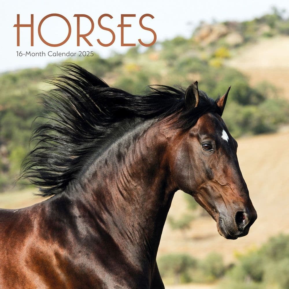 Carousel Calendars, Horses 2025 Wall Calendar