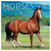Carousel Calendars, Horses 2027 Mini Wall Calendar