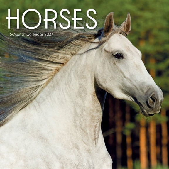 Carousel Calendars, Horses 2027 Wall Calendar