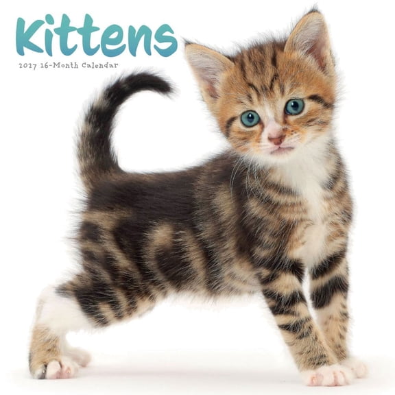 Carousel Calendars, Kittens 2027 Wall Calendar