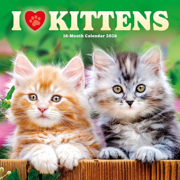 Carousel Calendars, Kittens I Love 2026 Wall Calendar