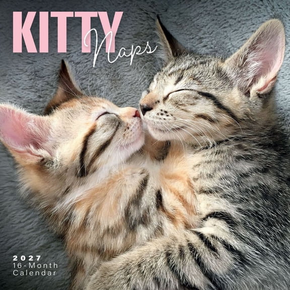 Carousel Calendars, Kitty Naps 2027 Wall Calendar