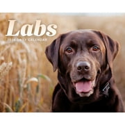 Carousel Calendars, Labs 2026 Desk Calendar