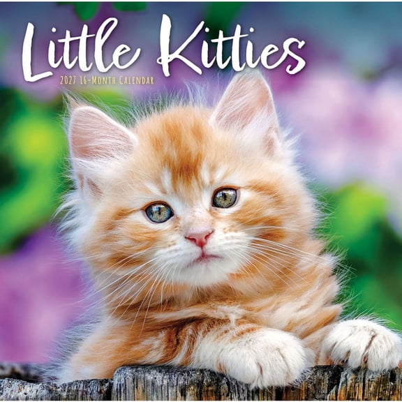 Carousel Calendars, Little Kitties 2027 Wall Calendar
