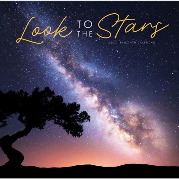 Carousel Calendars, Look to the Stars 2027 Wall Calendar