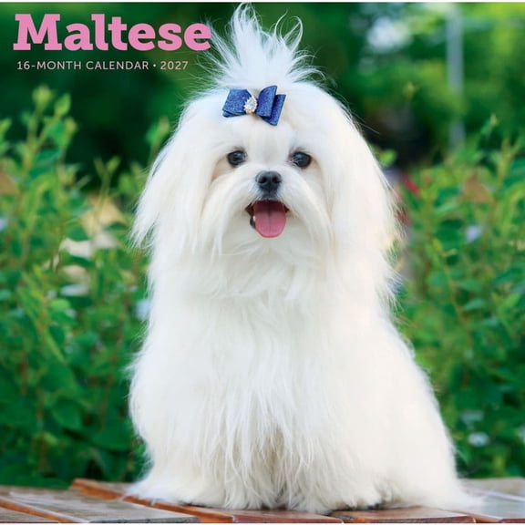 Carousel Calendars, Maltese 2027 Wall Calendar