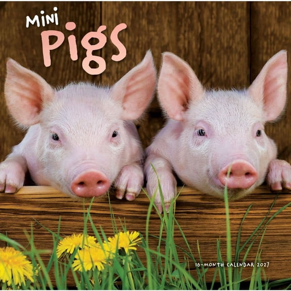 Carousel Calendars, Mini Pigs 2027 Wall Calendar