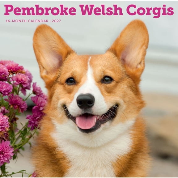 Carousel Calendars, Pembroke Welsh Corgis 2027 Wall Calendar
