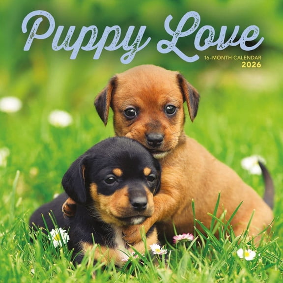 Carousel Calendars, Puppy Love 2026 Wall Calendar, 12'' X 12'', 16-Month Calendar with Stapled Binding