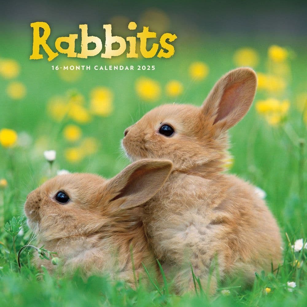 Carousel Calendars, Rabbits 2025 Wall Calendar - Walmart.com