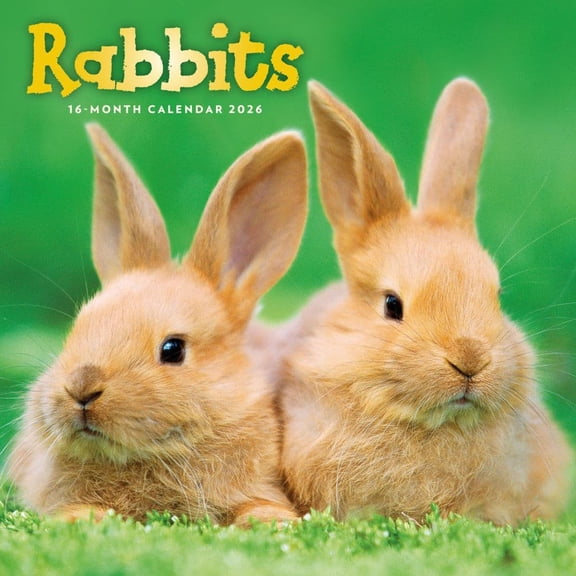 Carousel Calendars, Rabbits 2026 Wall Calendar
