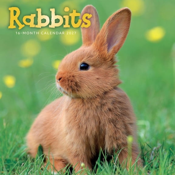 Carousel Calendars, Rabbits 2027 Wall Calendar