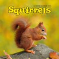 thumbnail image 1 of Carousel Calendars, Squirrels 2025 Wall Calendar, 1 of 4