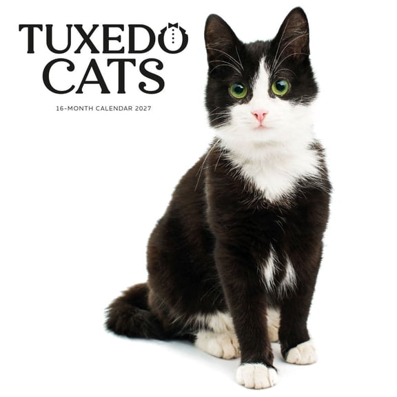 Carousel Calendars, Tuxedo Cats 2027 Wall Calendar