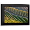 thumbnail image 1 of Carozzi, Fiorenzo 24x17 Black Modern Framed Museum Art Print Titled - Vineyards, 1 of 5