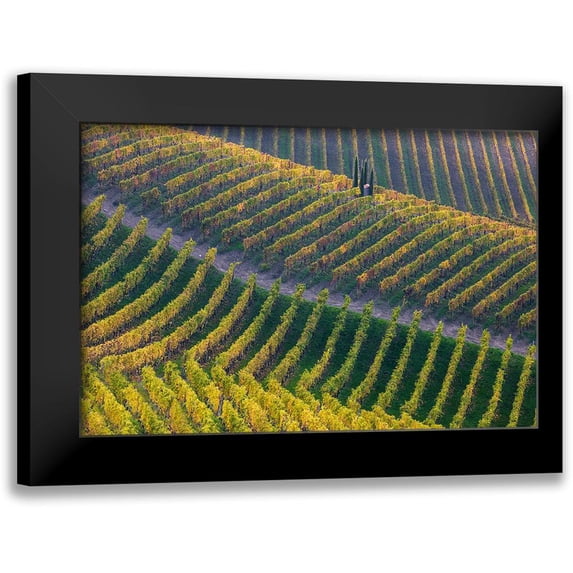 Carozzi, Fiorenzo 24x17 Black Modern Framed Museum Art Print Titled - Vineyards