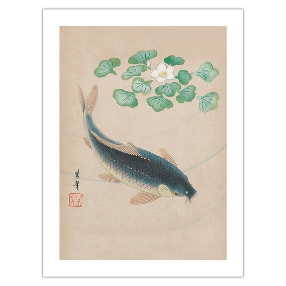 Carp with Water Flowers - Vintage Japanese Woodblock Print by Shisui 1900's - Bamboo Fine Art 290gsm Paper Print (Unframed) 18x24in
