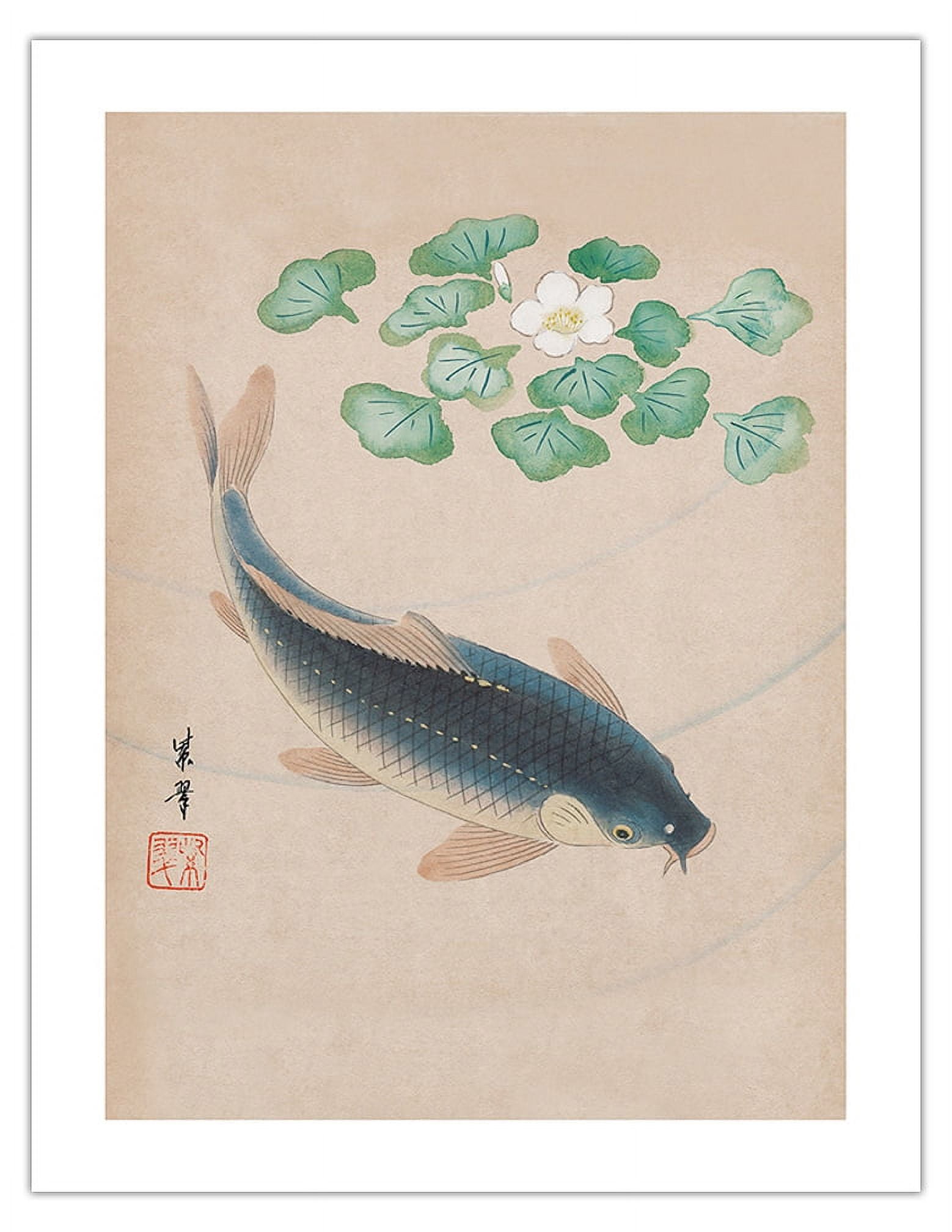 Carp with Water Flowers - Vintage Japanese Woodblock Print by Shisui ...