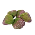 thumbnail image 1 of CarpNettore 5 Pcs Artificial Fake Rocks Decorative for Potted Plants Indoor Outdoor DIY Lawn E, 1 of 9