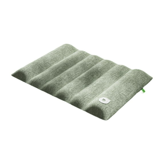 CarpNettore Comfy Kennel Pad Washable Dog Bed Mat Pet Sleeping Mattress Pet Beds Pad Cushion Light Green XXXL