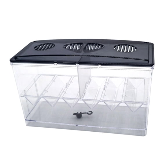 CarpNettore Floating Isolation Box with Partition, Breeding Station, Transparent, Housing, Floating Breeding Box for Aquariums for Shrimp,