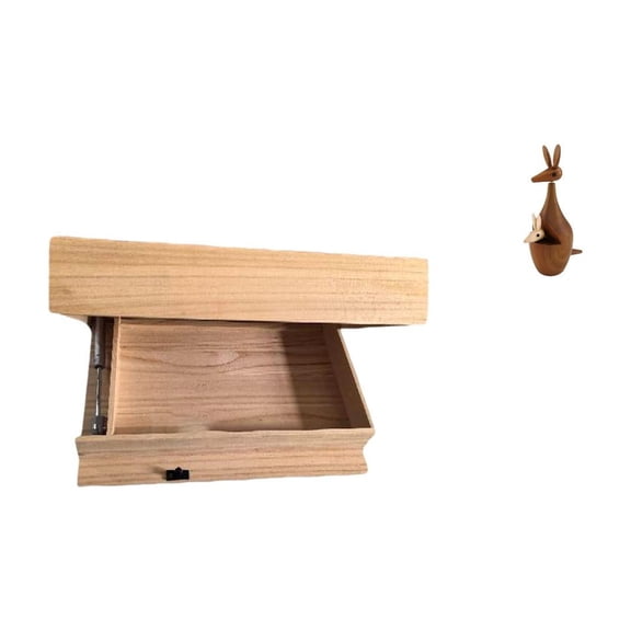 CarpNettore Floating Shelf Wall Mounted Drawer with Compartment Easy Installation Home Decor Storage Rack for Dorm Room Apartment Office Animal Figurine Statue Decorative Party Favor Funny