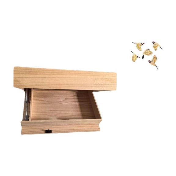 CarpNettore Floating Wooden Shelf Wall Art Mounted Drawer with Compartment Easy Installation Decorative Storage Rack for Dorm Room Apartment Office Bedroom Housewarming Gift Collectible Crafts