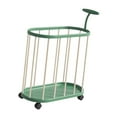 thumbnail image 1 of CarpNettore Gym Equipment Organizer Home Gym Storage Rack for Yoga Block Foam Roller Green, 1 of 9