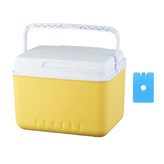 CarpNettore Insulated Camping Storage Case with Handle Ice Chest Box Organizer for Groceries 5L
